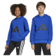 Adidas Παιδικό φούτερ Essentials Big Logo French Terry Hoodie Adidas Παιδικό φούτερ Essentials Big Logo French Terry Hoodie